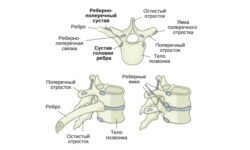 Артроз суставов ребер